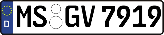 MS-GV7919