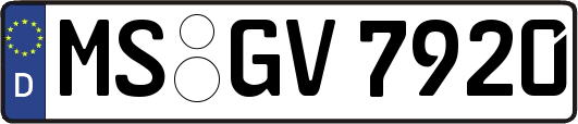 MS-GV7920