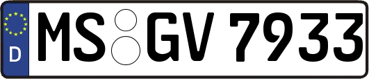 MS-GV7933