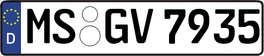 MS-GV7935