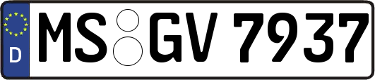 MS-GV7937
