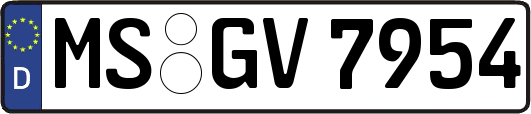 MS-GV7954
