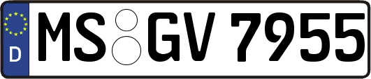 MS-GV7955
