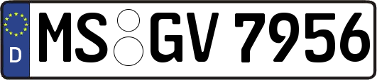 MS-GV7956