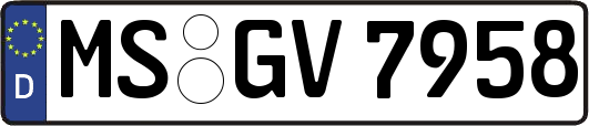 MS-GV7958