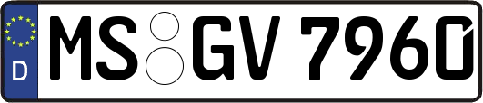 MS-GV7960