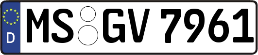 MS-GV7961