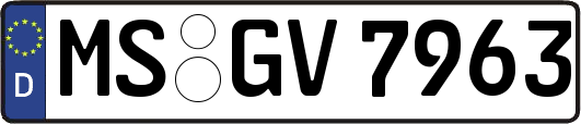 MS-GV7963