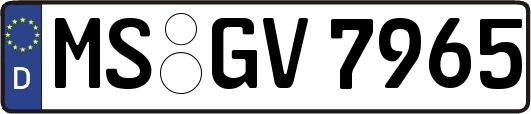 MS-GV7965
