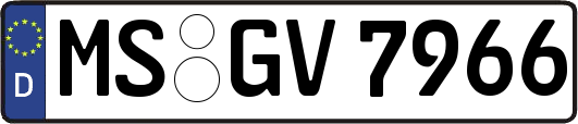 MS-GV7966