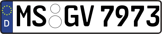 MS-GV7973