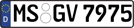 MS-GV7975