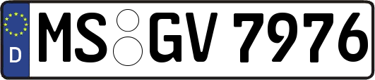MS-GV7976