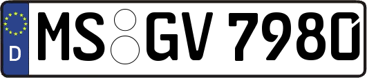 MS-GV7980