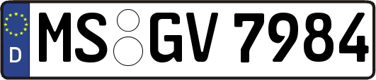 MS-GV7984