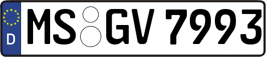 MS-GV7993