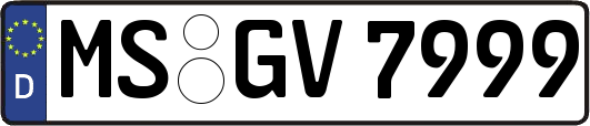 MS-GV7999