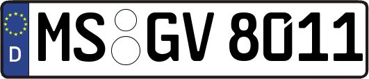 MS-GV8011