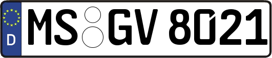 MS-GV8021