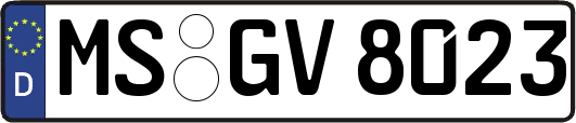 MS-GV8023