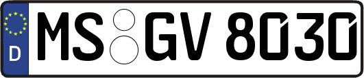 MS-GV8030