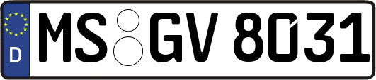 MS-GV8031