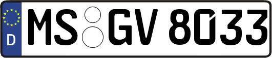 MS-GV8033