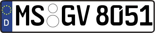 MS-GV8051