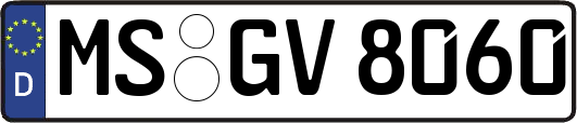 MS-GV8060