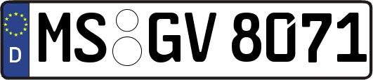 MS-GV8071