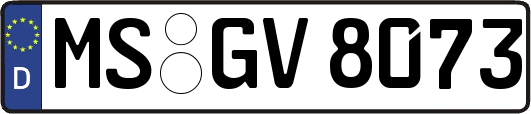 MS-GV8073