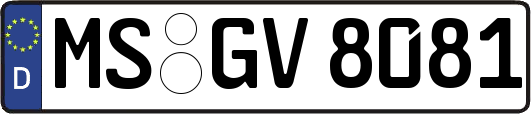MS-GV8081