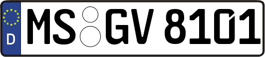 MS-GV8101