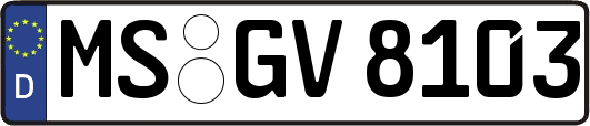 MS-GV8103