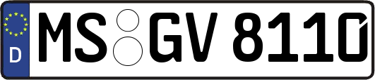 MS-GV8110