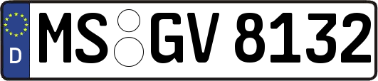 MS-GV8132