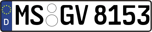 MS-GV8153