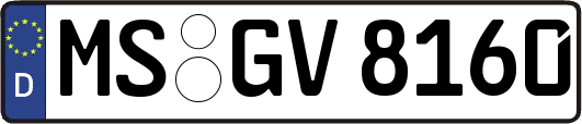 MS-GV8160