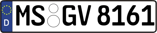 MS-GV8161