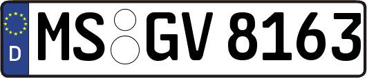 MS-GV8163