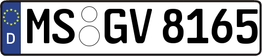MS-GV8165