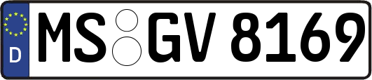 MS-GV8169