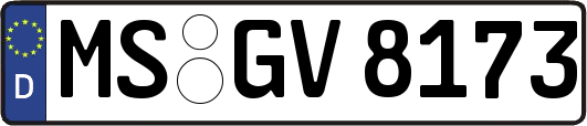 MS-GV8173