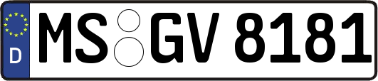 MS-GV8181