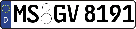 MS-GV8191