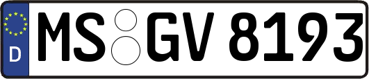 MS-GV8193