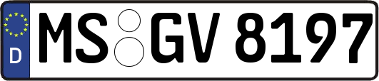 MS-GV8197