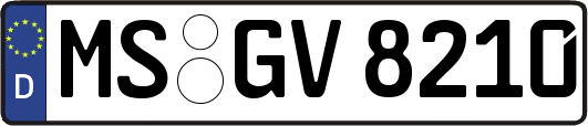 MS-GV8210