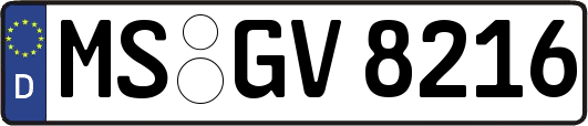 MS-GV8216