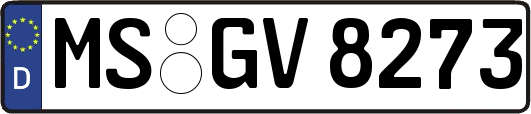 MS-GV8273